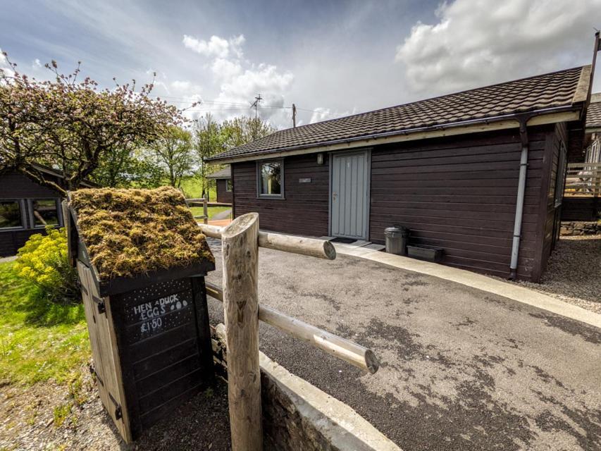 Avallon Lodges Launceston Kültér fotó